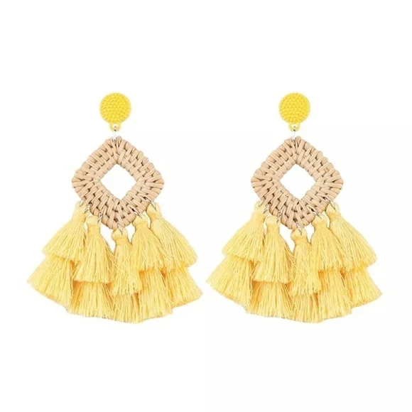 New Wooden Rattan Geometric Tassel Earrings - Picture 6 of 8